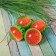 Rubber ball "watermelon", 4.5 cm
