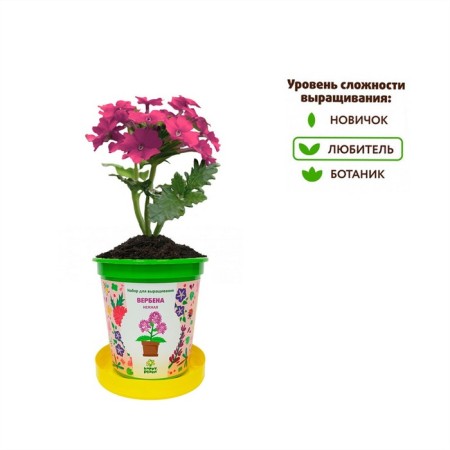 Set for creativity "Poten" "Verben Tender"-3
