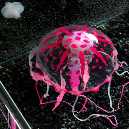 Decor for the Aquarium "Medusa" Silicone, with a neon effect, 10 x 10 x 20.5 cm, pink-4