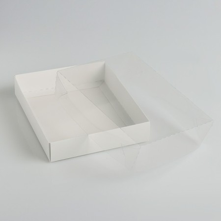 BECOUSE for cookies with a transparent lid 16 x 13 x 3 cm-1