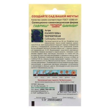 Flower seeds Astra pampushka is blueberry, pomponal, o, 0.3 g-1