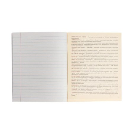 Substantial notebook Calligrata "3D", 48 sheets in the literature line, with reference material, covered cardboard, block No. 2, whiteness 75% (gray sheets)-3