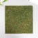 Sheet moss 30x30x0.5 cm