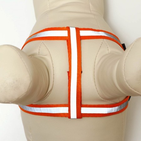 Set "braid", fluorescent, leash 115 x 1 cm, og 32-48 x 1.5 cm, orange-5