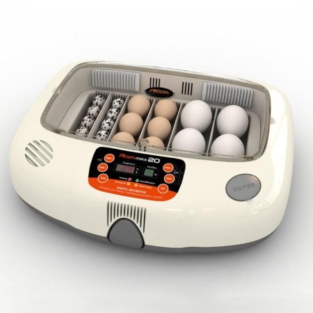Incubator, 20 eggs, automatic coup, 220 V, RCOM-2