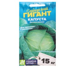 White cabbage seeds 