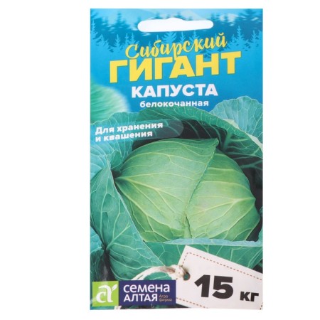 White cabbage seeds "Siberian giant", 0.5 g