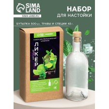 Подарочный набор для приготовления настойки «Мятный ликер»: набор трав и специй 43 г, бутылка 500 мл., инструкция