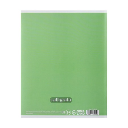 Notebook of 12 sheets in Calligrata "Five", cover coated cardboard, offset unit, whiteness 95%, green-2