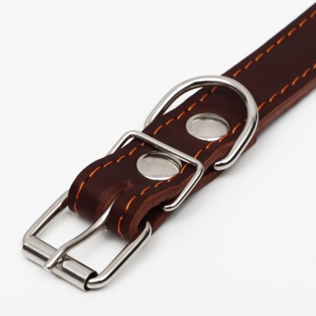 The collar is a single-layer leather, dimensionless, 56 x 2.5 cm, Osh 17-44 cm, brown-4