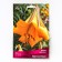 Lilies Tubular African Queen, 14/16 rr, 2 pcs. 120 h (cm), autumn 2024
