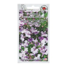 Flowers of Lobelia Flowers 