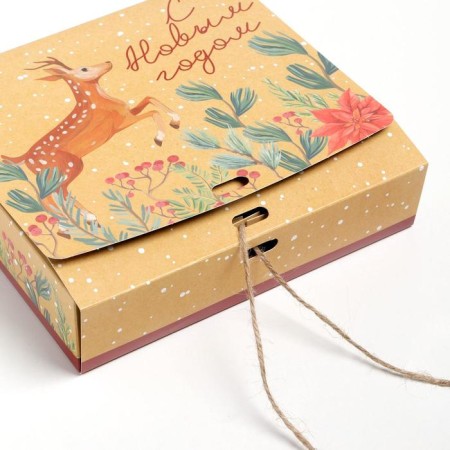 Box folding double -sided "New Year's botanist", 20 x 18 x 5 cm, without tape, New Year-3