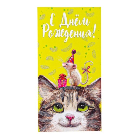 Money envelope "Happy Birthday!" Cat, mouse, 8.5 x 17 cm-1