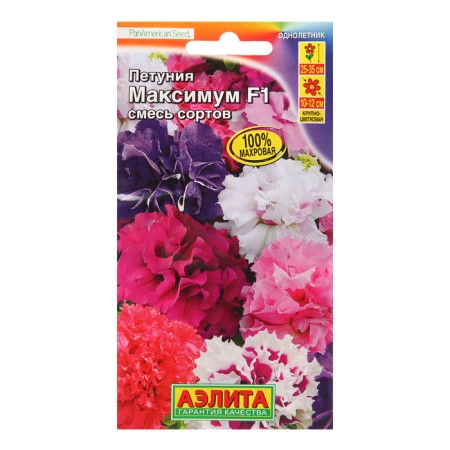 Petunia flowers maximum F1 large -flowered terry, a mixture of color, 10pcs