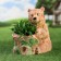 Figure pot "Bear" Brown, 25x25x15cm