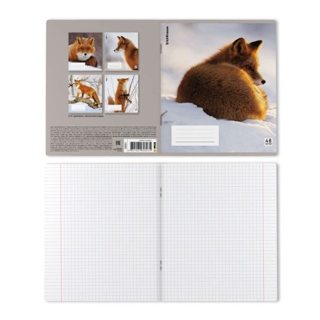 Notebook of 48 sheets in the Erichkrause cage, with a plastic cover, 5V, mix-10