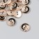 Buttons plastic for creativity 2 punctures "Golden Wave on black" set 20 pcs 1.5x1.5 cm