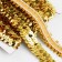 Decorative braid with sequins, elastic band, 2 cm, 9 ± 0.5 m, gold color