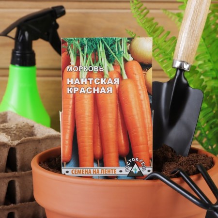 Carrots "Nantic red", 260 pcs, tape 8 m-4