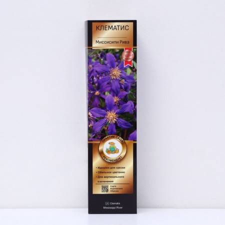 Clematis botanical suite (for cutting) "Mississippi Rive", 1 pc, tube, spring 2024