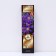 Clematis botanical suite (for cutting) "Mississippi Rive", 1 pc, tube, spring 2024