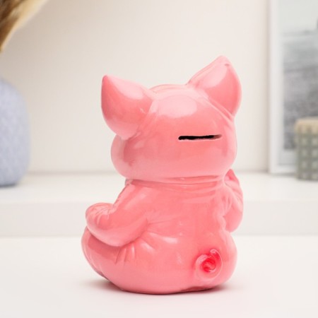 Piggy bank "Merry piglet" 11x13x18cm-2