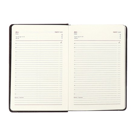 Diary Nedtir A5 160l Escalada, TV Region, Light claim, Las, tone BL 70g/m2, brown-12