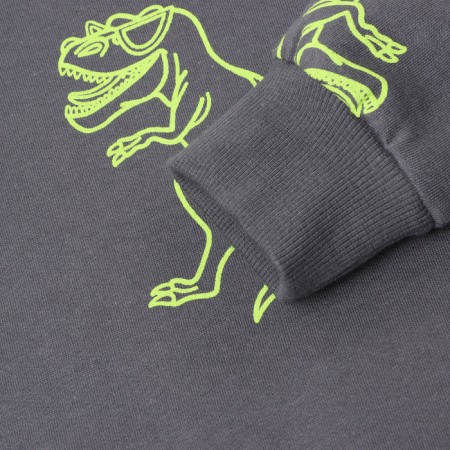 Sweatshirt for boys, graphite/dino color, height 122-2