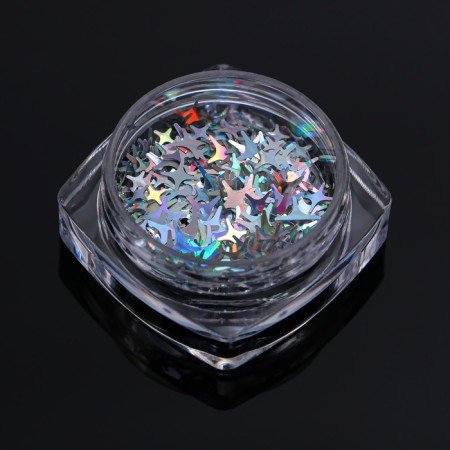 Sequins for the decor "Star Night", holographic, silver color-2