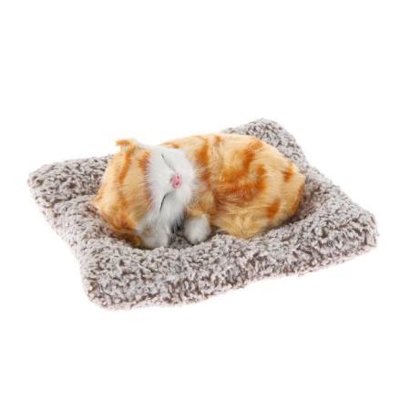 A toy on a car panel, a cat on a pillow, a white-red color-1