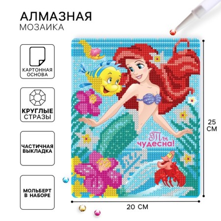 Diamond mosaic, 20x25 cm, princesses