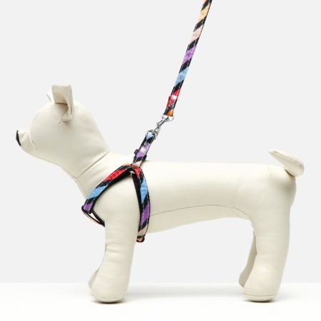 The ammunition set is two-layer, size S, leash 120 x 1 cm, Osh 24-38 cm, OG 29-41 cm, multi-colored-5