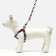 The ammunition set is two-layer, size S, leash 120 x 1 cm, Osh 24-38 cm, OG 29-41 cm, multi-colored
