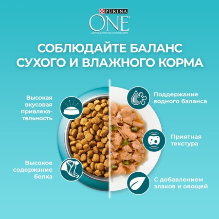 Dry food One for home cats, turkey with whole cereals 200 g-7