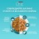 Dry food One for home cats, turkey with whole cereals 200 g
