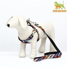 The ammunition set is two-layer, size L, leash 120 x 2 cm, ok 31-45 cm, OG 35-52 cm, multi-colored