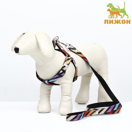 The ammunition set is two-layer, size L, leash 120 x 2 cm, ok 31-45 cm, OG 35-52 cm, multi-colored