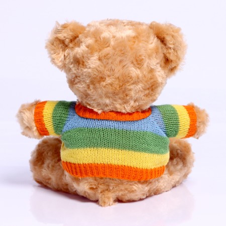Soft toy "Bear in a T -shirt", Mix colors-8
