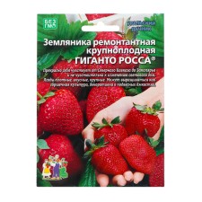 Strawberry seeds 