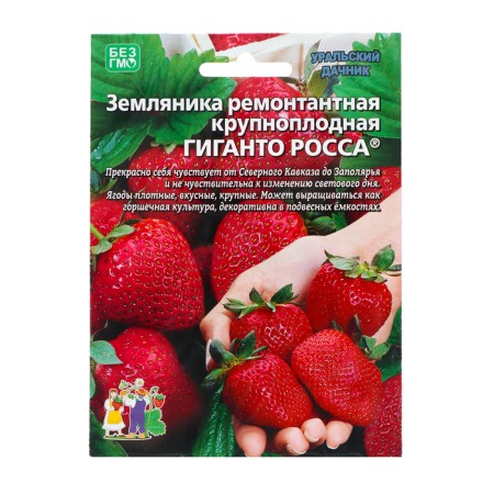Strawberry seeds "Gianto Ross, 10 pcs