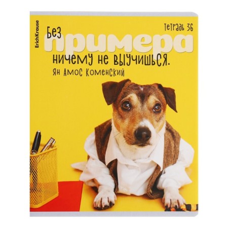 Notebook of 36 sheets in the Erichkrause Cage "Scientific Dogs", cover Combined Cardboard, Offset Block, Mix-5