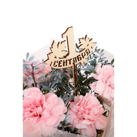 Topper for the Cake "September 1", wooden, mix-15