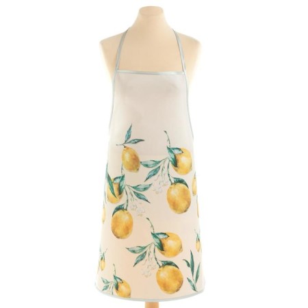 The kitchen set of the share of Lemon, a severity 17*17 cm, mitten 26*16 cm, apron 70*80 cm 100% p/e-8