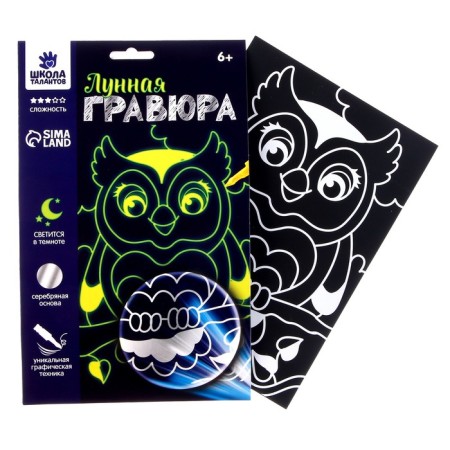 Set for creativity: Lunar engraving and applique with sequins "Owl"-6