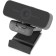 Camera Web Rick OK-C001FH Black 2MPIX (1920x1080) USB2.0 with a microphone