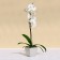 Flower pot, 15 × 15 cm, 1.5 l, plastic, beige