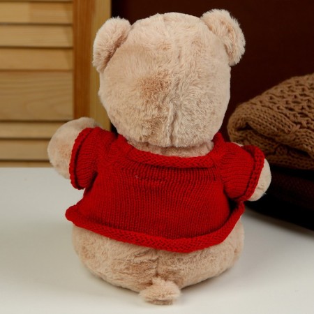 Soft toy "Bear" in a jacket, 25 cm-3