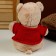 Soft toy "Bear" in a jacket, 25 cm