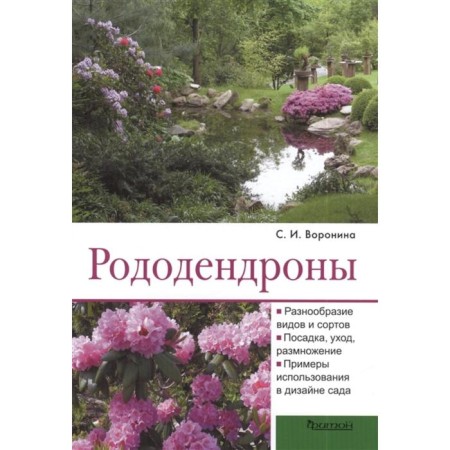Rhododendrons. Voronina S.